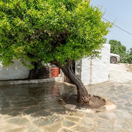 Marino's 2 Apartmán Apollonia
